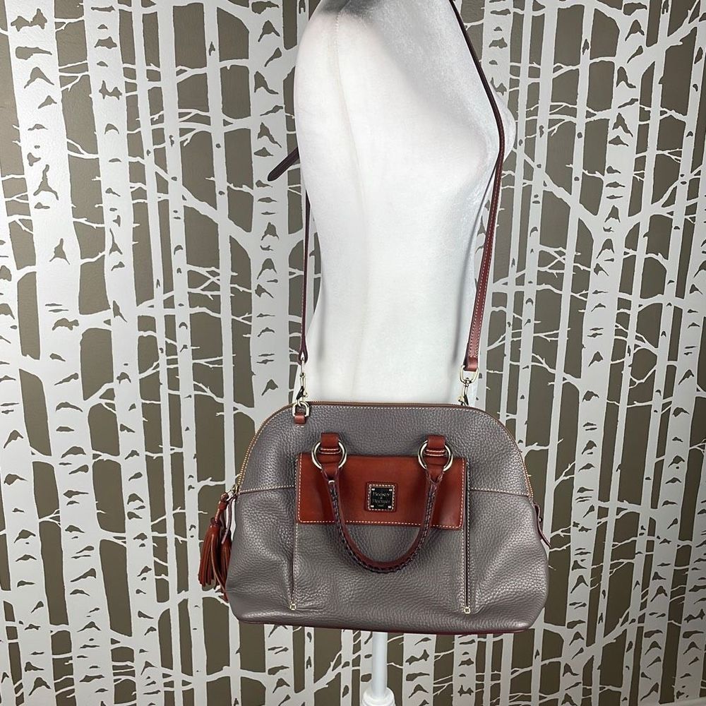 Dooney & Bourke Gray Satchel with Brown Trim - Picture 2 of 16